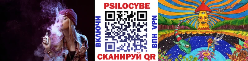 Псилоцибиновые грибы мухоморы  цена наркотик  Ардатов 